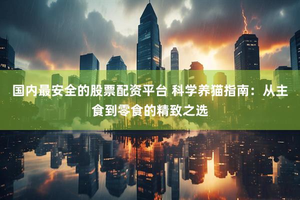 国内最安全的股票配资平台 科学养猫指南：从主食到零食的精致之选